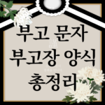 부고문자 부조장 총정리