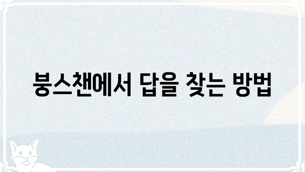 붕스챈| 궁금증 해결! 핵심 정보 총정리 | 붕스챈, 정보, 가이드, 궁금증, 해결, 정리