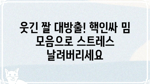 빵터지는 웃음 보장! 핵인싸 밈 모음 | 유머, 웃긴짤, 밈, 트렌드
