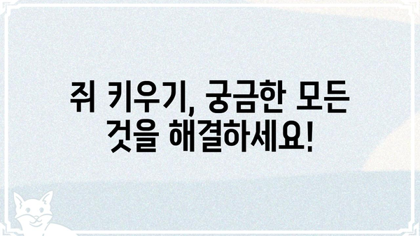 쥐갤 완벽 가이드| 쥐 정보부터 커뮤니티 활동까지 | 쥐, 쥐 사육, 쥐 정보, 쥐갤 커뮤니티, 쥐 키우기