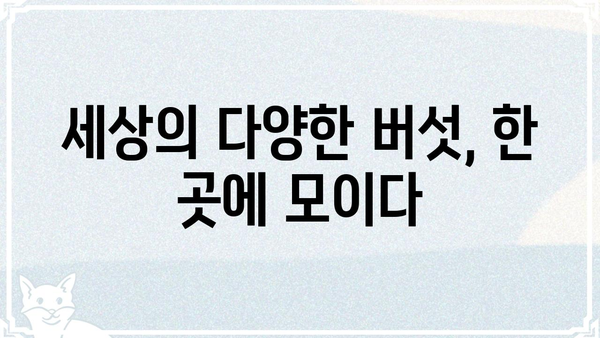 버섯커갤러리| 당신의 취향을 담은 버섯 사진 전시 공간 | 버섯 사진, 갤러리, 전시, 사진 공유