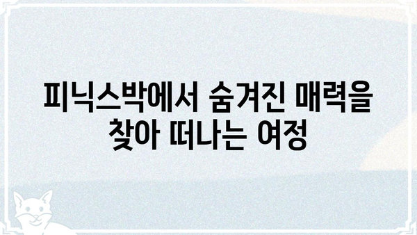 피닉스박| 숨겨진 매력을 찾아 떠나는 여정 | 피닉스박, 맛집, 핫플레이스, 데이트 코스, 여행