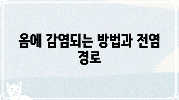 옴전염 예방과 관리| 증상, 원인, 치료법 | 옴, 기생충, 피부 질환, 전염병