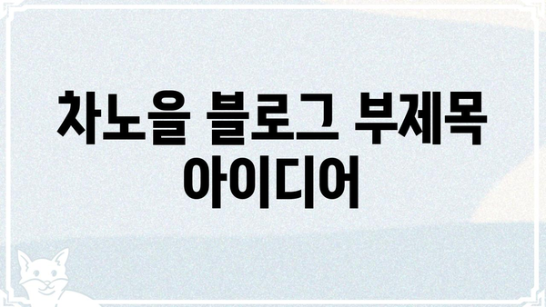차노을| 밤하늘을 수놓는 아름다움 | 별똥별, 유성우, 천문 관측, 사진 촬영