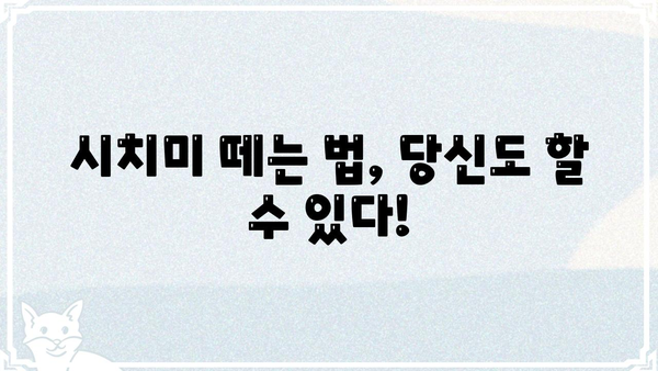 시치미 떼는 법| 상황별 꿀팁 & 주의사항 | 시치미, 떼는 법, 상황별, 꿀팁, 주의사항