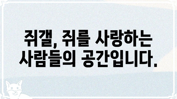 쥐갤 완벽 가이드| 쥐 정보부터 커뮤니티 활동까지 | 쥐, 쥐 사육, 쥐 정보, 쥐갤 커뮤니티, 쥐 키우기