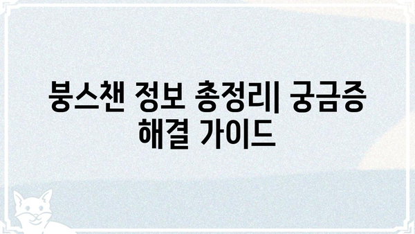붕스챈| 궁금증 해결! 핵심 정보 총정리 | 붕스챈, 정보, 가이드, 궁금증, 해결, 정리