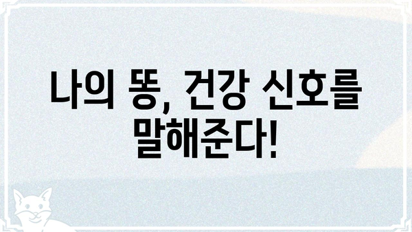 여성 건강과 변비| 여자 똥 변화를 알아보는 솔직한 가이드 | 변비, 건강, 여성, 똥, 솔루션