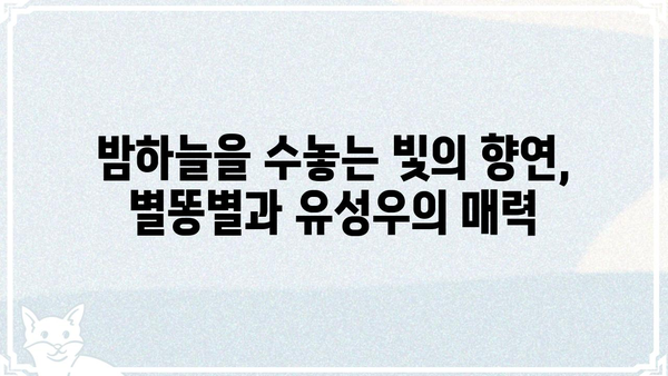 차노을| 밤하늘을 수놓는 아름다움 | 별똥별, 유성우, 천문 관측, 사진 촬영
