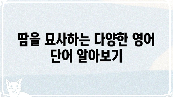 땀, 영어로 어떻게 표현할까요? | 땀 표현, 영어 단어, 땀 관련 표현