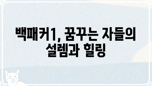 백패커1 출연진| 멤버들의 매력과 팀워크 | 백패커, 여행 예능, 캠핑, 유튜브