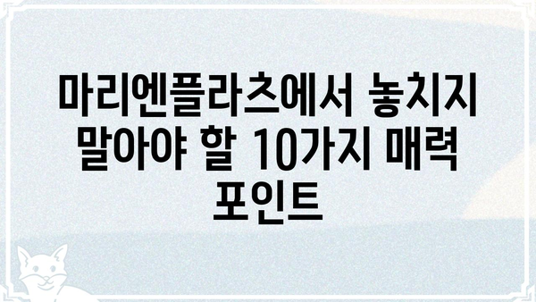 마리앙플러스에서 꼭 가봐야 할 10곳 | 뮌헨 여행, 명소 추천, 독일
