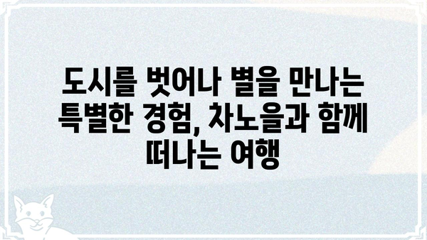 차노을| 밤하늘을 수놓는 아름다움 | 별똥별, 유성우, 천문 관측, 사진 촬영