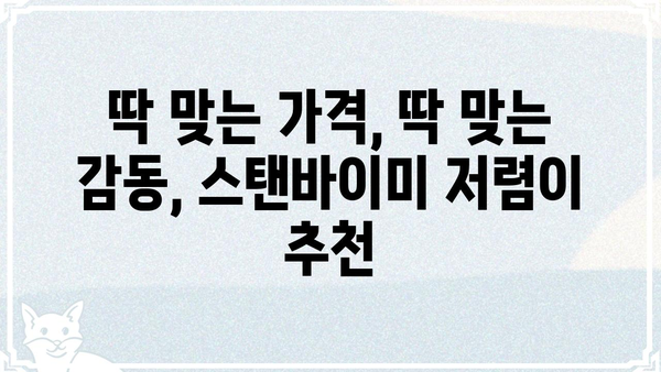 스탠바이미 저렴이 추천 | 가성비 끝판왕, 착한 가격에 즐기는 감동