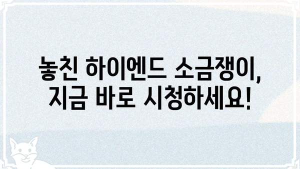 하이엔드 소금쟁이 재방송 다시 보기 | 방송 정보, 다시보기 링크, 시청 방법