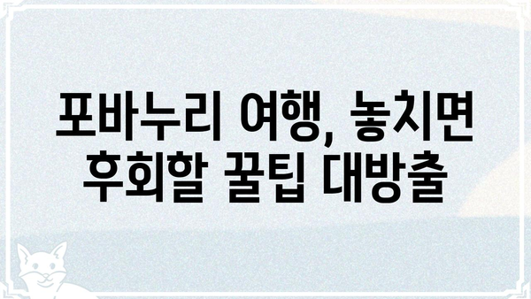 포바누리, 숨겨진 매력을 찾아 떠나는 여행 | 포바누리 여행, 가볼 만한 곳, 꿀팁