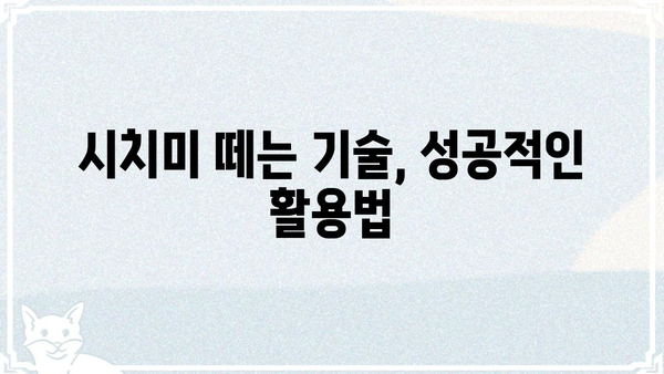 시치미 떼는 법| 상황별 꿀팁 & 주의사항 | 시치미, 떼는 법, 상황별, 꿀팁, 주의사항