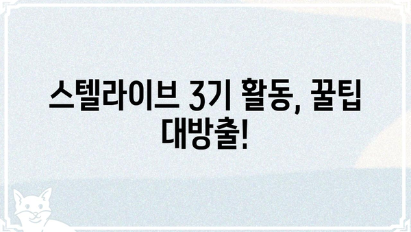 스텔라이브 3기 참가자를 위한 완벽 가이드| 합격 전략부터 활동 팁까지 | 스텔라이브, 3기, 참가, 합격, 활동