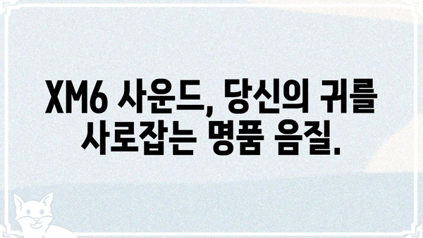 XM6 오디오 품질의 모든 것 | XM6, 오디오 성능, 사운드, 리뷰, 비교