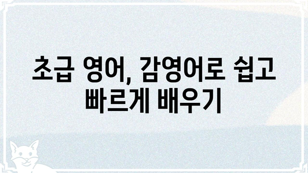 감영어로 배우는 영어 회화| 초급부터 중급까지 | 영어 회화, 영어 학습, 영어 표현, 영어 단어