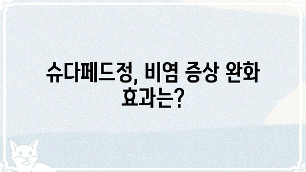슈다페드정 복용 가이드| 효능, 부작용, 주의사항 완벽 정리 | 감기약, 콧물, 코막힘, 비염