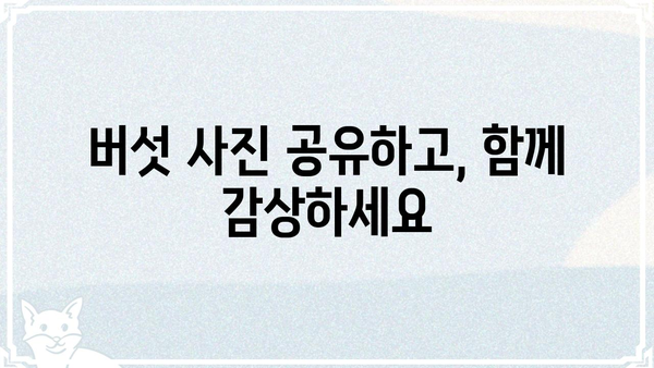버섯커갤러리| 당신의 취향을 담은 버섯 사진 전시 공간 | 버섯 사진, 갤러리, 전시, 사진 공유