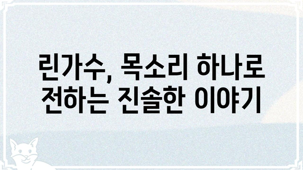 린가수의 매력에 빠지다| 린가수 앨범 추천 & 음악 감상 가이드 | 린가수, 앨범 추천, 음악 감상, 가수
