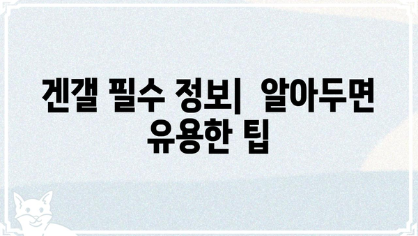 겐갤에서 꼭 알아야 할 필수 정보| 초보자를 위한 가이드 | 겐갤, 정보, 가이드, 입문, 커뮤니티