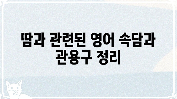 땀, 영어로 어떻게 표현할까요? | 땀 표현, 영어 단어, 땀 관련 표현