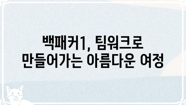 백패커1 출연진| 멤버들의 매력과 팀워크 | 백패커, 여행 예능, 캠핑, 유튜브