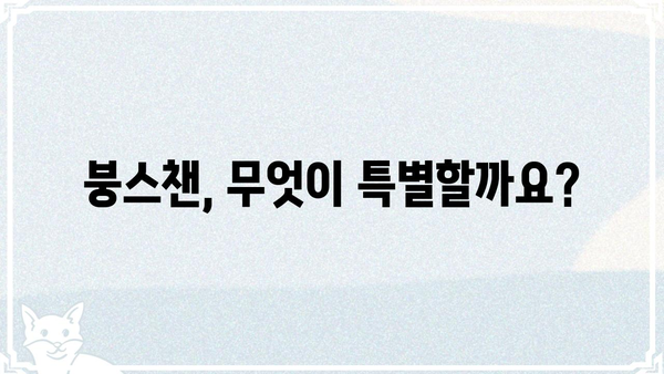 붕스챈| 궁금증 해결! 핵심 정보 총정리 | 붕스챈, 정보, 가이드, 궁금증, 해결, 정리