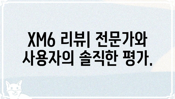 XM6 오디오 품질의 모든 것 | XM6, 오디오 성능, 사운드, 리뷰, 비교