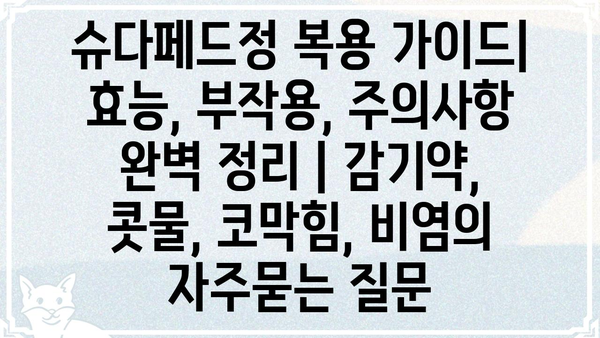 슈다페드정 복용 가이드| 효능, 부작용, 주의사항 완벽 정리 | 감기약, 콧물, 코막힘, 비염