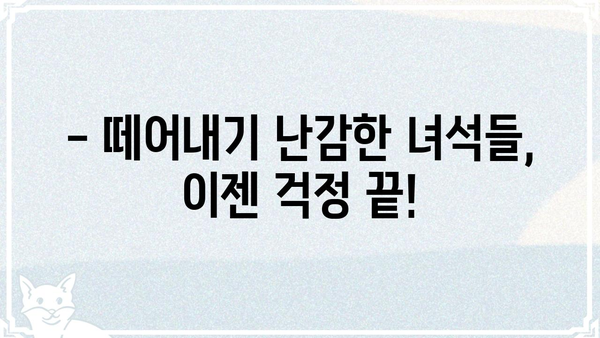떼다떼다| 쉽고 빠르게 떼어내는 꿀팁 대방출 | 떼어내기, 분리, 팁, 꿀팁, 노하우