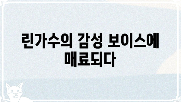 린가수의 매력에 빠지다| 린가수 앨범 추천 & 음악 감상 가이드 | 린가수, 앨범 추천, 음악 감상, 가수