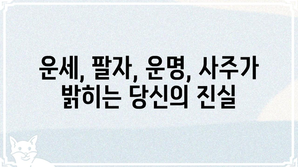 사주팔자로 풀어보는 나의 삶의 진실| 운명의 비밀을 밝히는 여정 | 사주, 운세, 팔자, 운명, 삶의 의미, 미래 예측