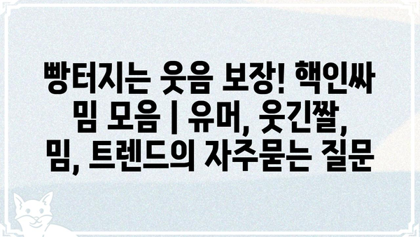 빵터지는 웃음 보장! 핵인싸 밈 모음 | 유머, 웃긴짤, 밈, 트렌드