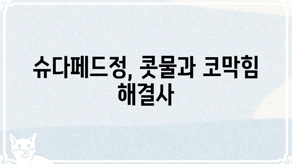 슈다페드정 복용 가이드| 효능, 부작용, 주의사항 완벽 정리 | 감기약, 콧물, 코막힘, 비염