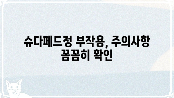 슈다페드정 복용 가이드| 효능, 부작용, 주의사항 완벽 정리 | 감기약, 콧물, 코막힘, 비염