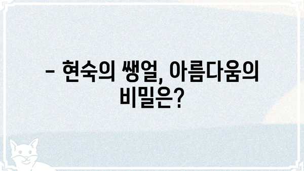 현숙 쌩얼 공개? 🤫  |  화보 속 비밀, 솔직한 매력 대공개!