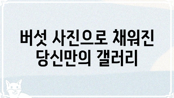 버섯커갤러리| 당신의 취향을 담은 버섯 사진 전시 공간 | 버섯 사진, 갤러리, 전시, 사진 공유