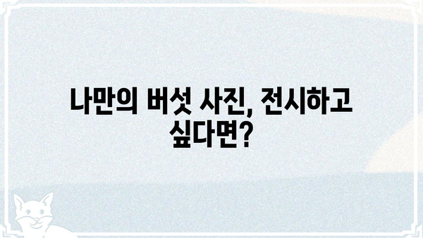 버섯커갤러리| 당신의 취향을 담은 버섯 사진 전시 공간 | 버섯 사진, 갤러리, 전시, 사진 공유