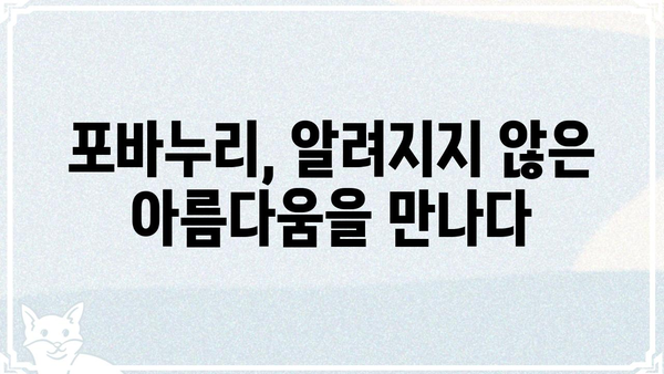 포바누리, 숨겨진 매력을 찾아 떠나는 여행 | 포바누리 여행, 가볼 만한 곳, 꿀팁