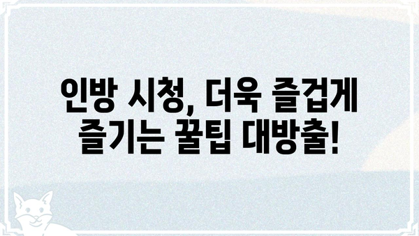 인방갤 핵심 정보 총정리| 인기 스트리머, 핫한 콘텐츠, 커뮤니티 가이드 | 인방, 스트리밍, 커뮤니티, 정보