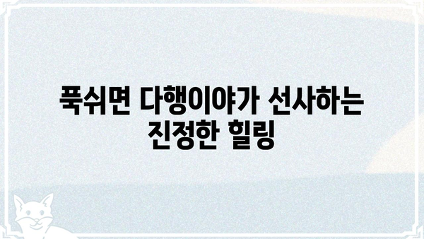 푹쉬면 다행이야 시청률, 이 정도는 알아야죠! | 예능, 시청률, 화제성, 힐링