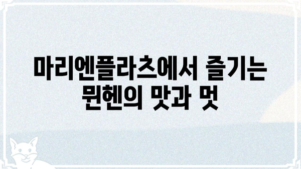 마리앙플러스에서 꼭 가봐야 할 10곳 | 뮌헨 여행, 명소 추천, 독일