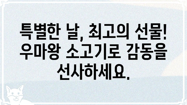 우마왕 소고기 선물세트 추천 | 명절 선물, 특별한 날, 고급 선물