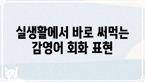 감영어로 배우는 영어 회화| 초급부터 중급까지 | 영어 회화, 영어 학습, 영어 표현, 영어 단어