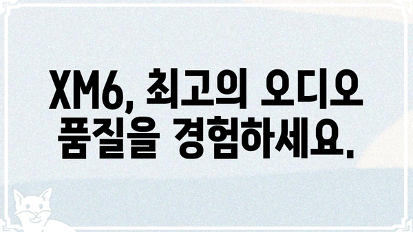 XM6 오디오 품질의 모든 것 | XM6, 오디오 성능, 사운드, 리뷰, 비교