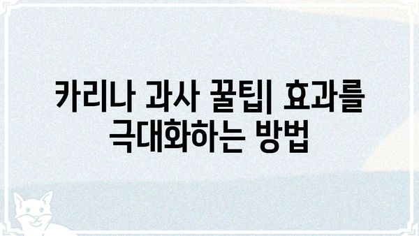 카리나 과사| 솔직한 후기와 꿀팁 대방출 | 카리나, 과사, 솔직후기, 꿀팁, 솔루션